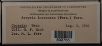 Image Associated With the Occurence